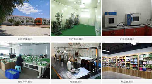 膠原蛋白代加工工廠(chǎng)車(chē)間-德州健之源